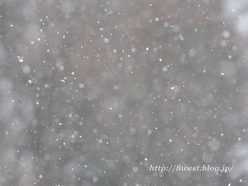 雪
