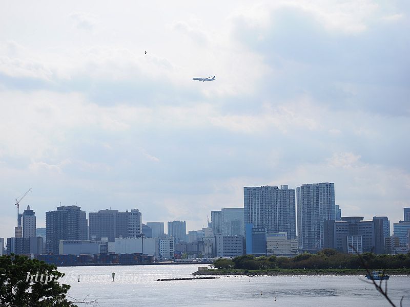 お台場8