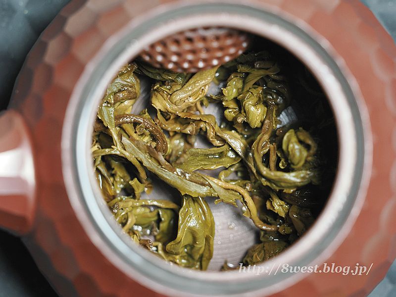 プーアルジャスミンパール2