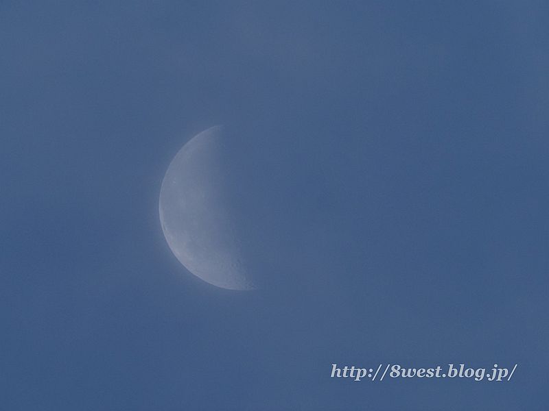 月齢22.38