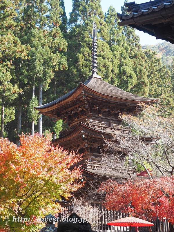 新海三社神社03