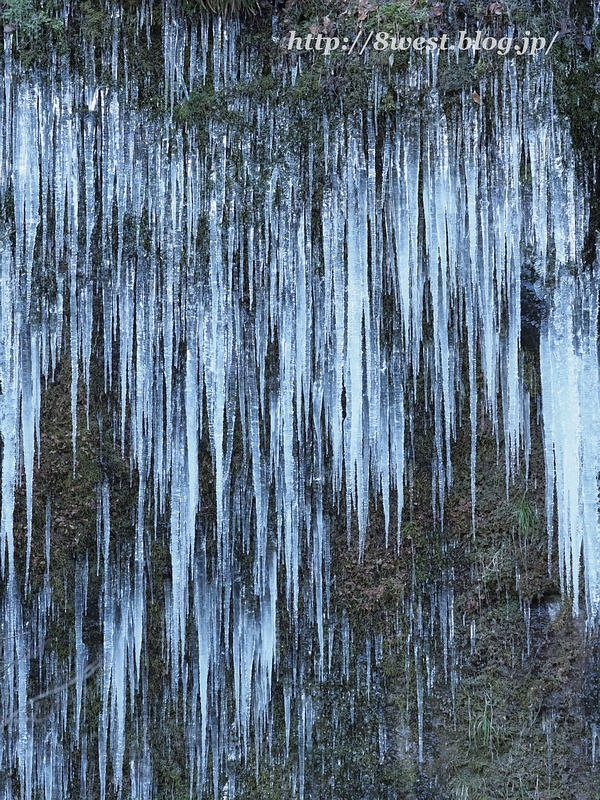 氷瀑群13