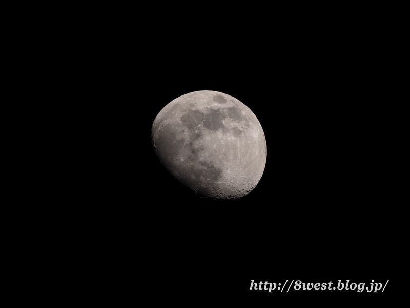 月齢11.20