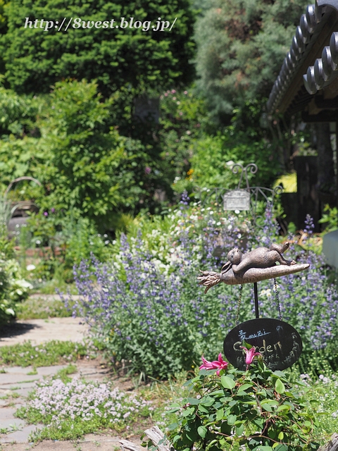 オープンガーデン6