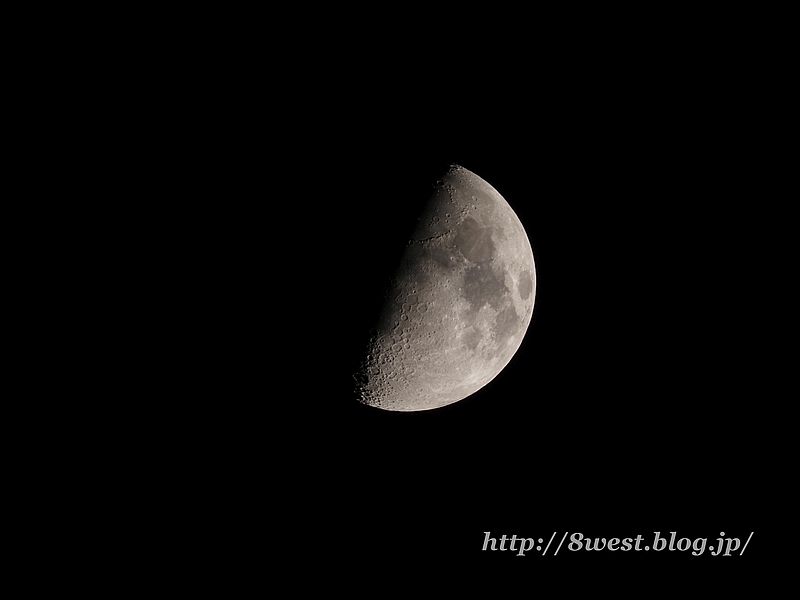 九夜月8.31