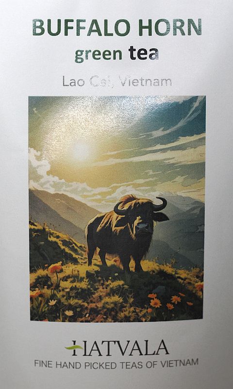 バッファローホーン1