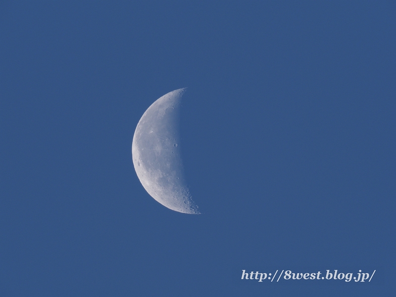 月齢23.66