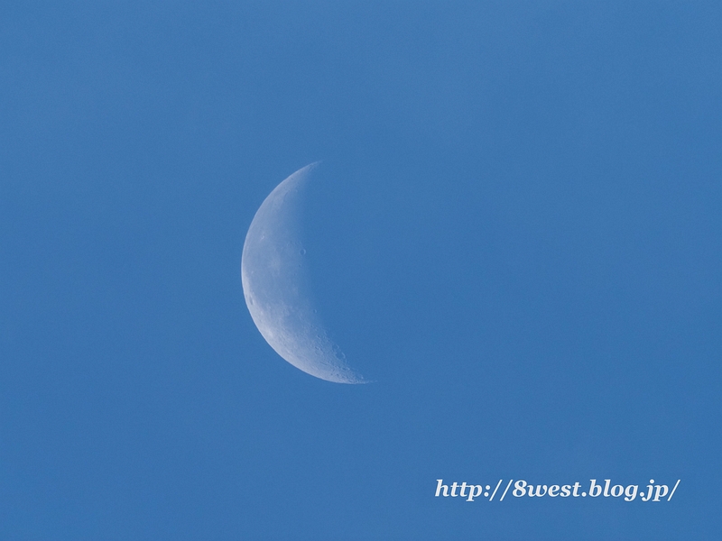 月齢23.95