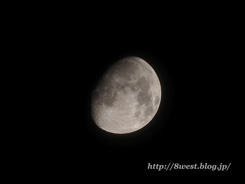 月齢11.20