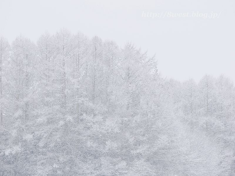 雪5
