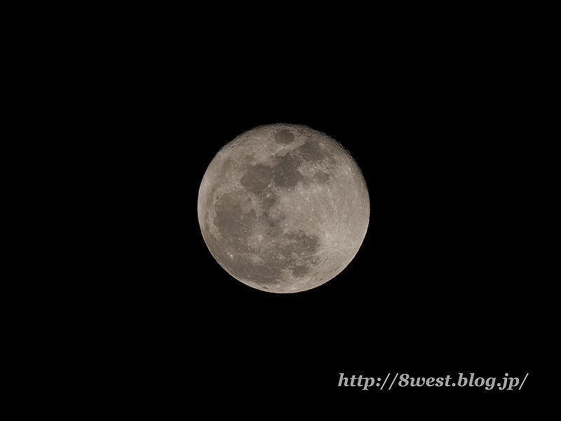 十六夜月15.00