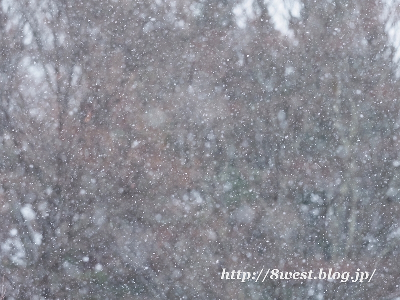 降雪