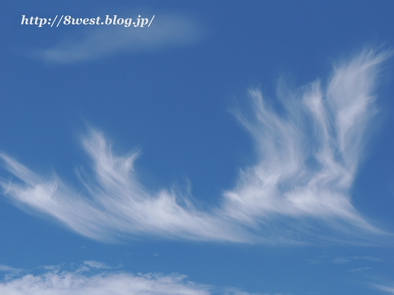 雲