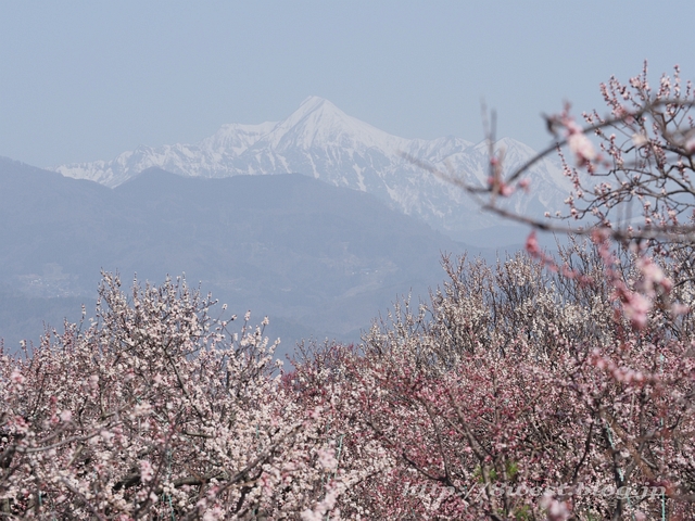 高妻山2