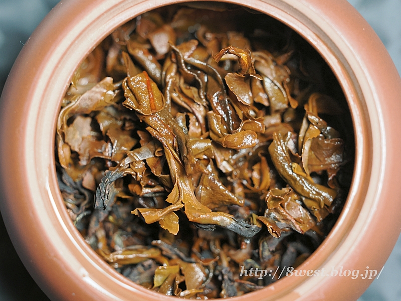 霧島紅茶2