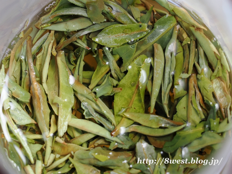 ヒマラヤンホワイト