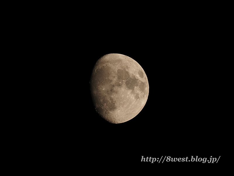 月齢11.65