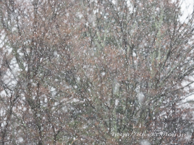 雪