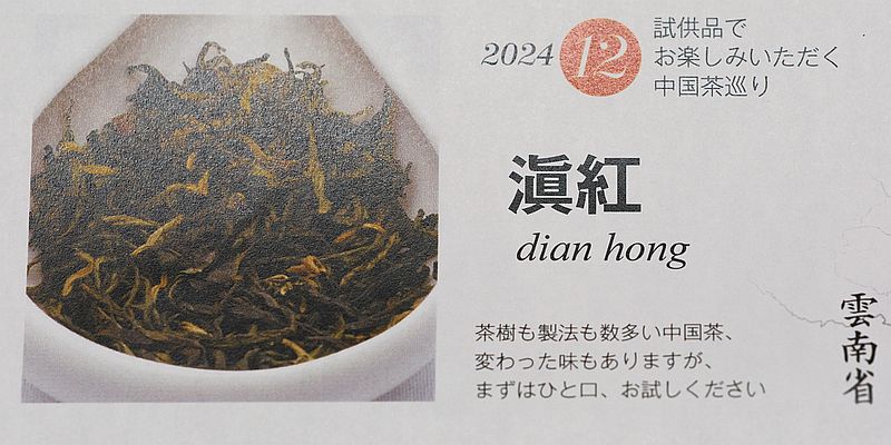 滇紅1