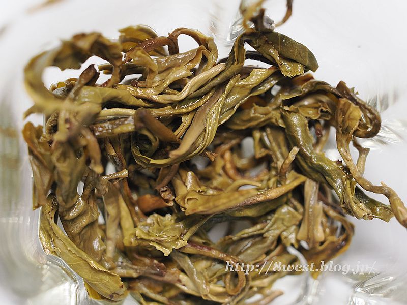 バッファローホーン2