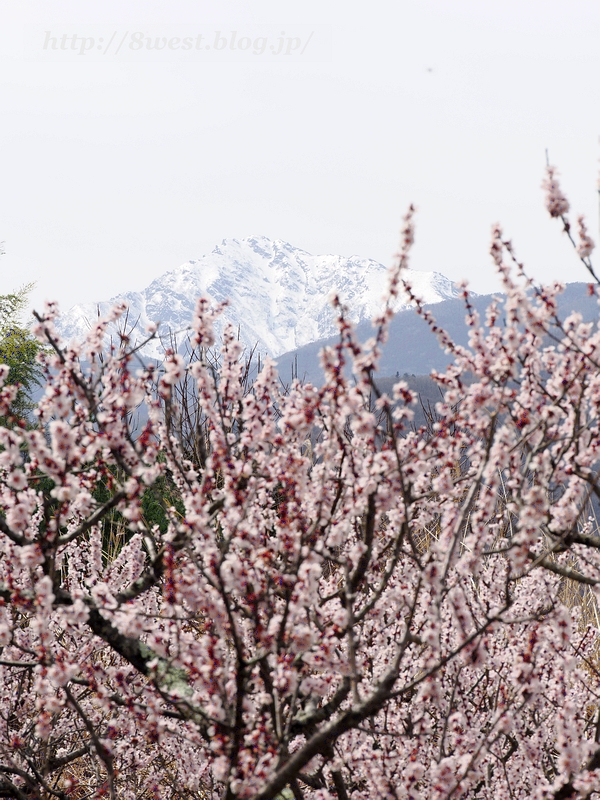 甲斐駒ヶ岳