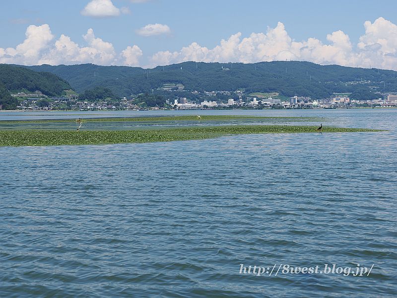 諏訪湖