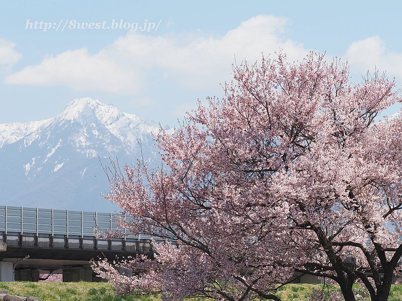 阿弥陀岳1