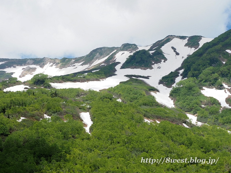 山5