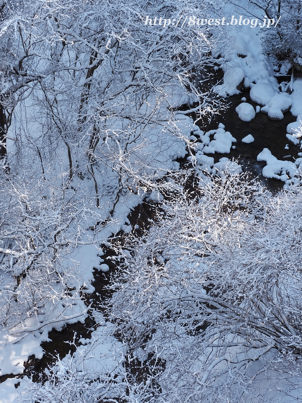 雪a