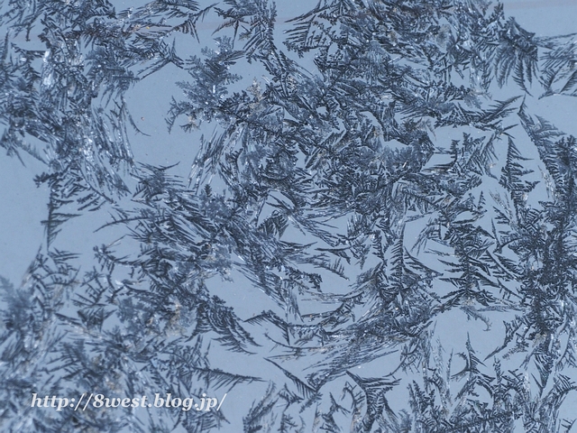 窓霜1