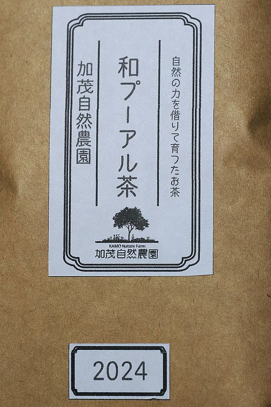 和プーアル1