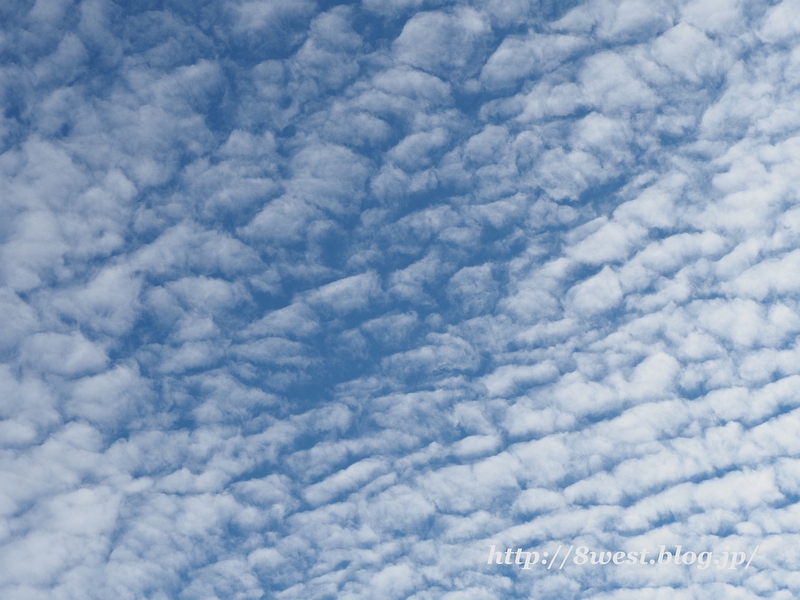 雲