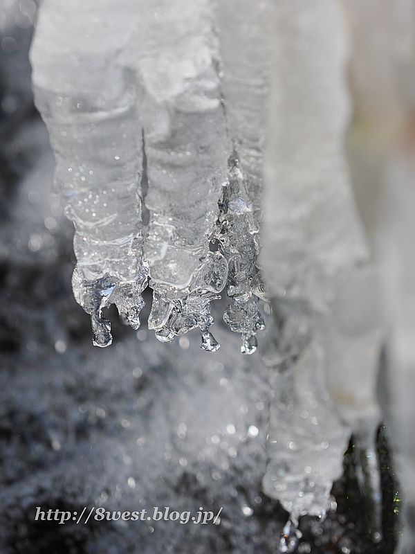 飛沫氷10