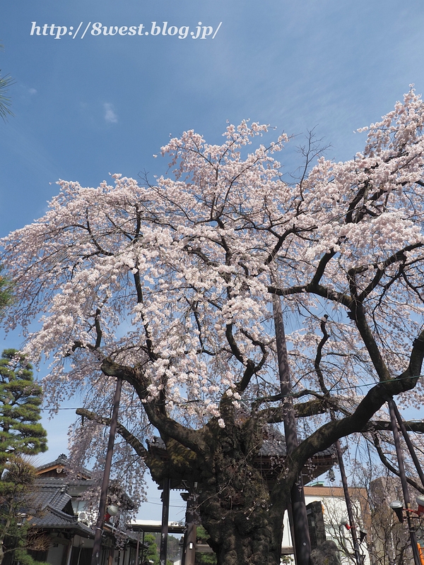 阿弥陀寺07