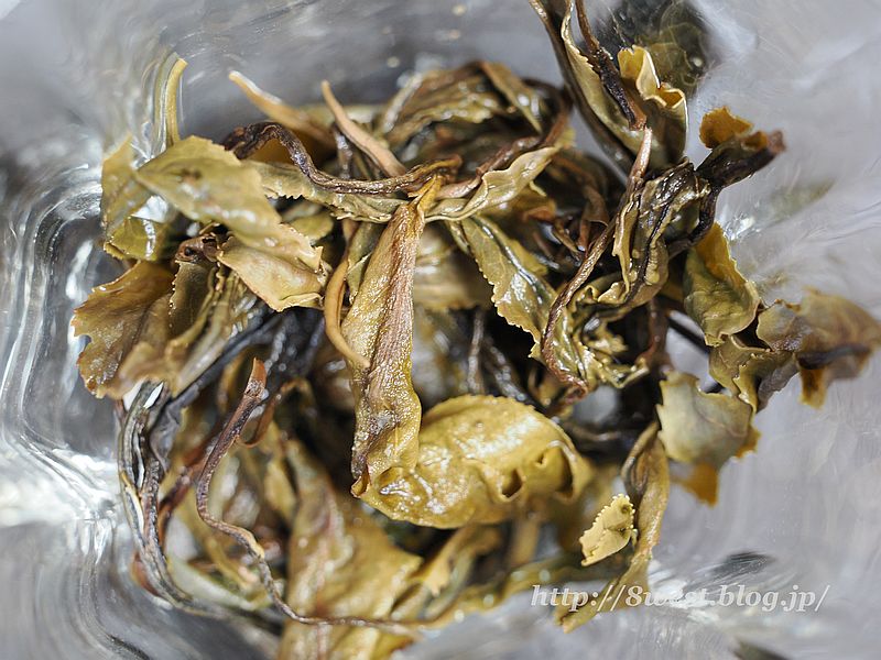 ハザンプーアル2