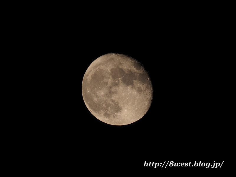 立待月16.15