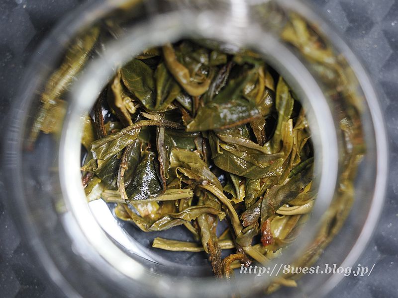 東山生茶2