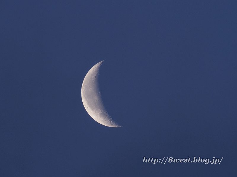 月齢24.07