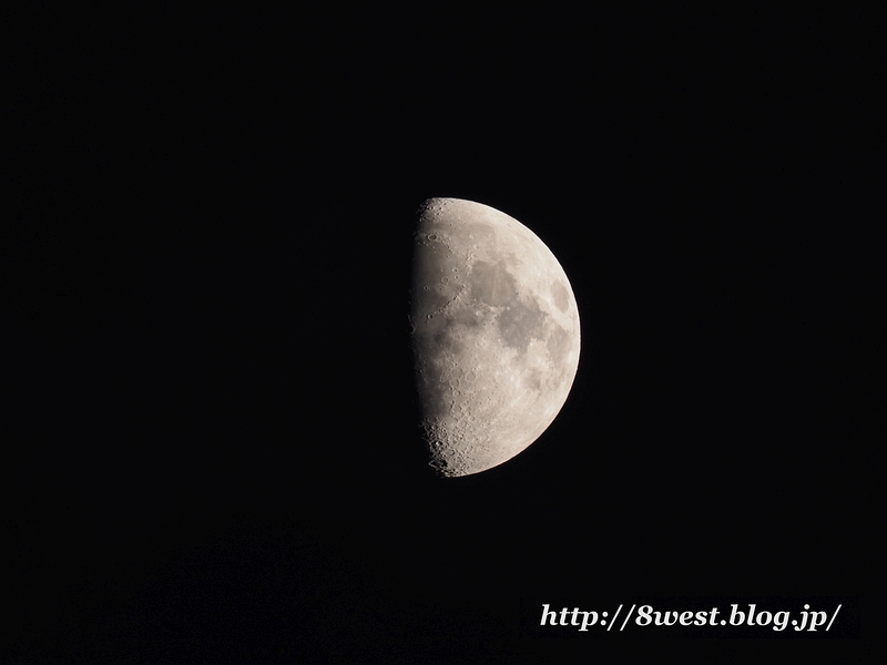 月齢9.00