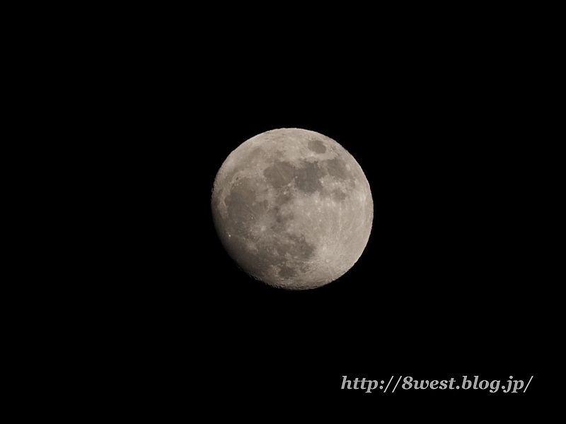 十三夜月12.65