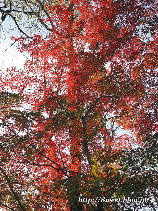 PB051147