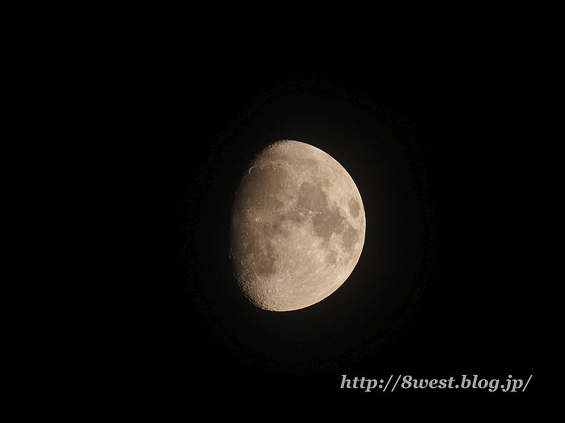 月齢11.20