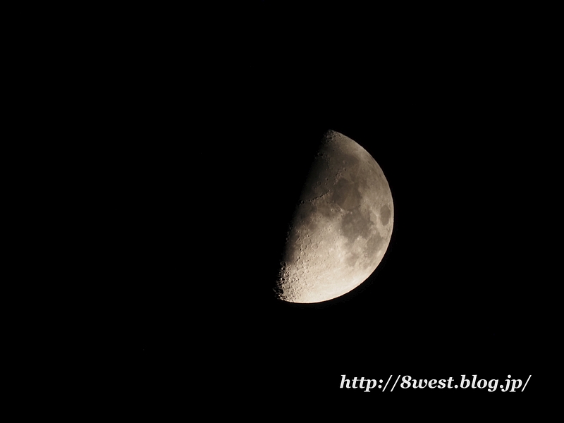 九夜月8.62
