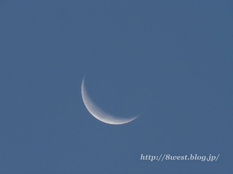 月齢25.38