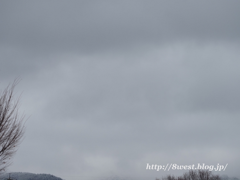 今日の蓼科山1225
