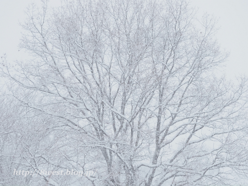 雪3