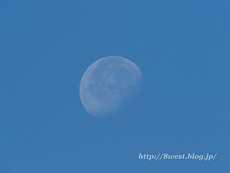 月齢19.07