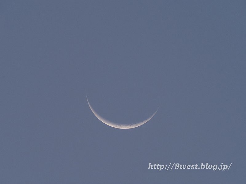 月齢27.03