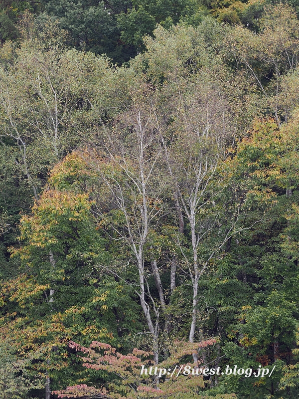 PA267235