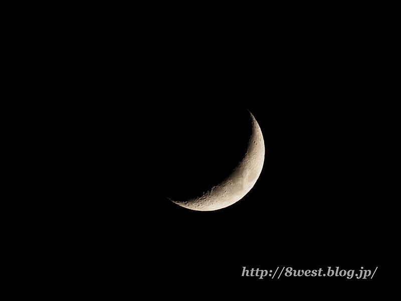 月齢5.10